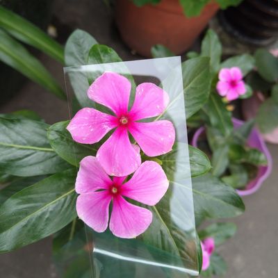 Good price Clear 1mm Polycarbonate Fabrication Pc Board For Optical Or Printing Single Layer 1mm online