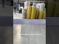 10mm Twinwall UV Blocked Greenhouse Transparent Polycarbonate Honeycomb Sheet