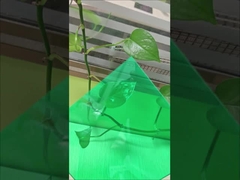 Plastic Polycarbonate Sheet