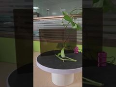 3mm Brown  Solid Polycarbonate Sheet Anti Impact One Side UV Protection